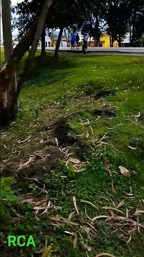 kuri Rwanda Coding Academy