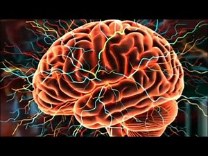 3D animation of nerve impulses.