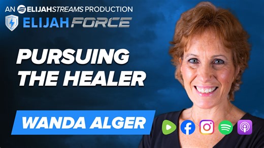Pursuing the Healer - Wanda Alger