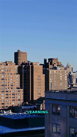 Pause Everything | Future Utopia | 2050