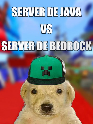 Comparing Java and Bedrock Minecraft Editions