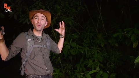 Amphibian defense: Small but mighty