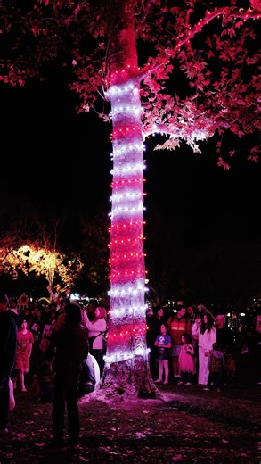 Make Solvang’s Julefest a tradition you’ll never want to miss! ⁠ ⁠ This weekend in Solvang, you can experience:⁠ ⁠ Saturday, December 6th⁠ ⁠ 🎊 Solvang’s “Nordic Noël” Julefest Parade 11am to 1:30pm⁠ 🎅 Photos with Santa at Santa’s Village every Saturday and Sunday 12 to 4pm⁠ 🎶 Christmas Matters Holiday Carolers 5 to 8pm in Downtown Solvang⁠ ⁠ Sunday, December 7th⁠ ⁠ 🎅 Photos with Santa at Santa’s Village every Saturday and Sunday 12 to 4pm⁠ ⁠ Daily Julefest festivities:⁠ ⁠ ✨️⁠ Light, Music & 