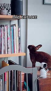 8.9K views · 479 reactions | LOS ANGELES: INTERESTED IN A...