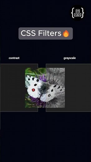 CSS Filters 🔥 #coding #frontendcourse #python #codeflow #code #programming #animation #javascript