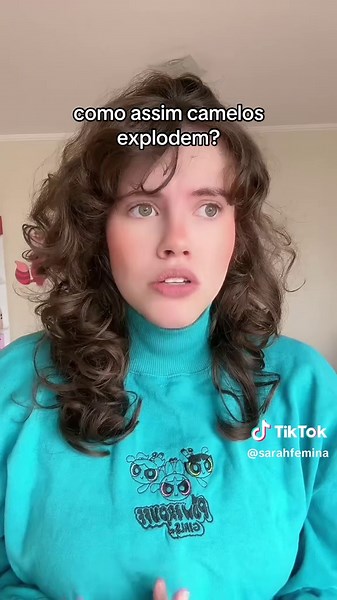 Camelos Explodem? Entenda Por Que Isso Acontece!