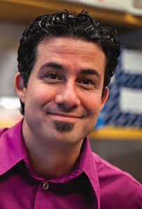 HSCI researchers achieve major breakthrough in cell reprogramming | Harvard Stem Cell Institute (HSCI)