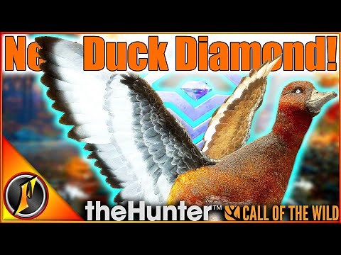 DIAMOND Ferruginous Duck with the NEW Shotgun! | Early Access Call of the Wild