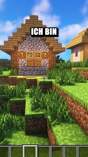 Finde den Fehler #minecraft #shorts