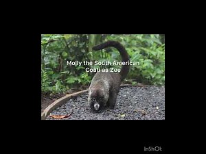 “Cartoon Age” Cast Video (Updated)