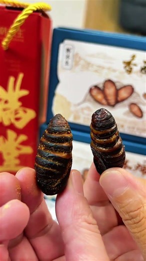 Yummy Crispy Insect Snacks: A Global Treat