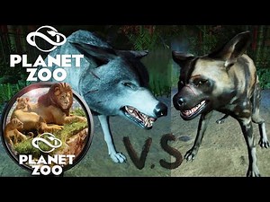 Timber Wolf Fights African Wild Dog in Planet Zoo Episode #26