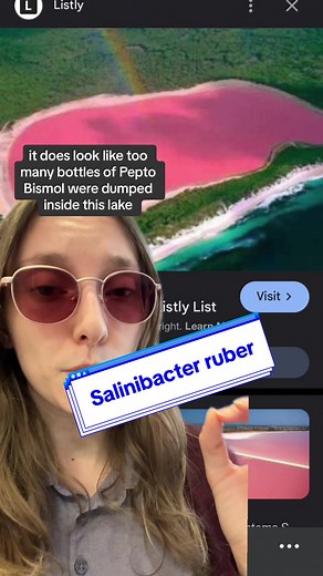 Exploring Halophilic Bacteria in Pink Lake: A Fascinating Biology Lesson