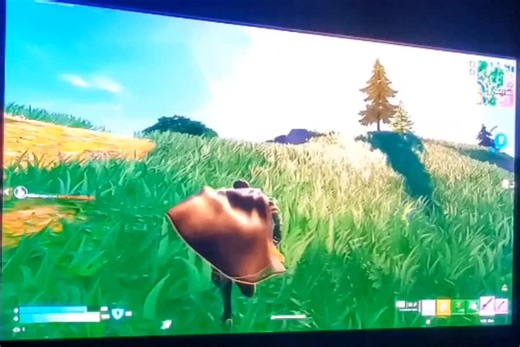 👑king👑of👑harts913👑 (@traffic_signal1)’s videos with Gangsta Gangsta (feat. Lil Jon) [Main Version] - Lil Scrappy