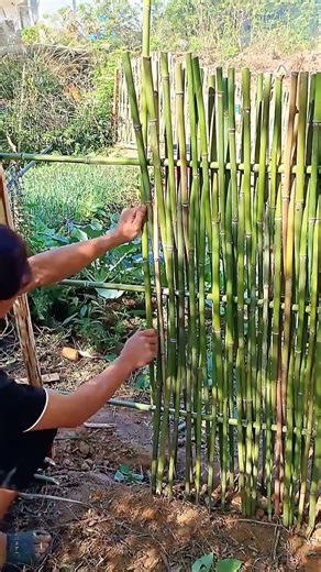 membuat pagar bambu dengan sangat Klaten
