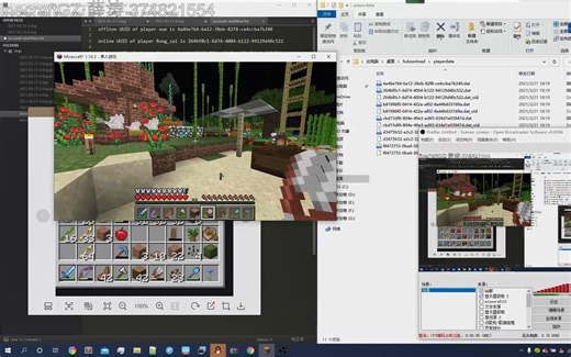 我的世界单机存档开服 玩家数据丢失 修复教程