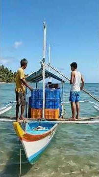 top 10 fish sold in philippine markets 🇵🇭 #filipinofood #fishlover #philippinesseafood