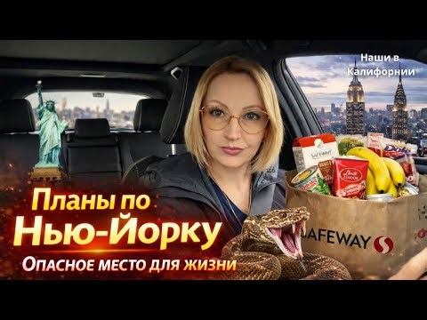 Планы по Нью-Йорку / Шопинг в Safeway / Влог США
