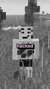 I WAS BANNED FROM EVERY MINECRAFT SERVER!