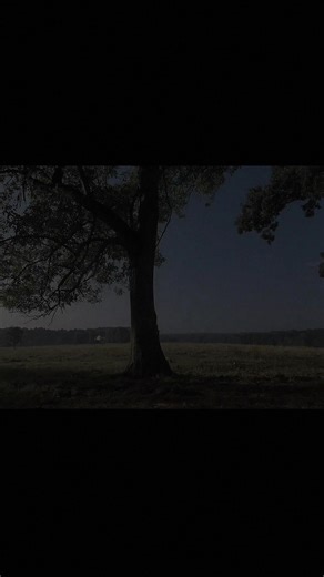 Daryl Dixon's Anger Towards Lori in The Walking Dead