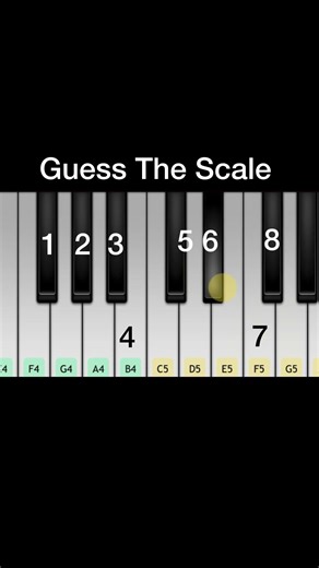 Stop 🛑 music lovers | can you guess in seconds 🎵🎹 ❤️ #shorts #shortvideo