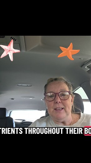 Did you know starfish are truly mind-blowing?  These ocean wonders have no brains and no blood, yet they thrive using a water-based vascular system to move and eat! Nature finds a way—even without what we think is “essential.”  A great reminder that sometimes the simplest systems work best.  #OceanFacts #StayCurious #NatureIsAmazing #funfacts | Beth Tupperware Girlfriend | Facebook