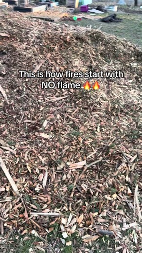 Why You Shouldn't Place Compost Piles Near Your House