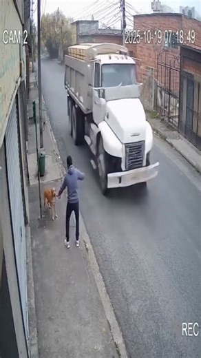 Future Vision Dog Saves Owner on CCTV #Shorts