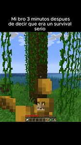 1.8M views · 10K reactions | Mi bro 3 minutos despues de decir que era un survival serio en minecraft #minecraftfunny #minecraftmemes #videogames #reel | Video 333 | Facebook