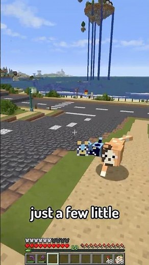 Bluey - The Beach Part 1! #bluey #harwould #blueyminecraft #minecraftbluey
