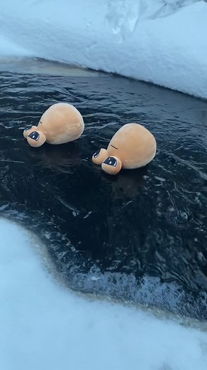Float Away Together - Cute Pou Plushies and Daily Life Adventures