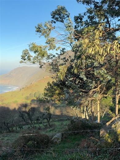 378 reactions · 35 comments | Miss Kennedy Summers on Reels | Facebook