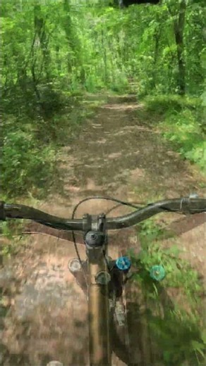 Overgrown and Rough | Fruška Gora B-Trail POV