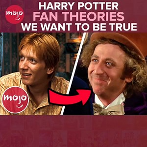 44K views · 884 reactions | Can these Harry Potter theories be real please? | MsMojo | Facebook