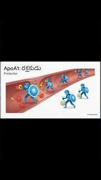 The Silent Battle Within: Understanding the ApoB/Apo A1 Ratio for Longevity