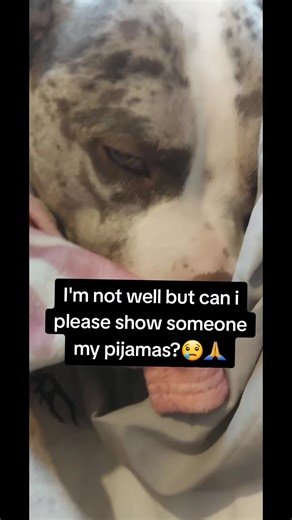 I'm not well but I'd still like to show you my cute pijamas 😢❤#fashionqueen #xlbully #foryouu #dogsoftiktok #misunderstood