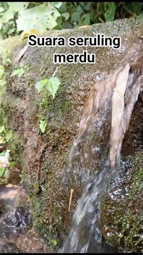 seruling sunda bikin hati tentram🥹 #fypシ #shorts #serulingmas