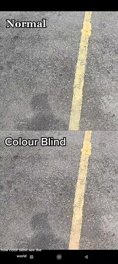 How Color Blind People See The World