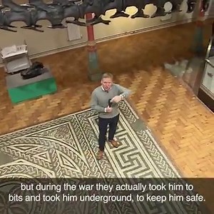 31K views · 312 reactions | Dippy the dinosaur is going on tour! The 70ft-long (21m) replica of a diplodocus is heading to Dorchester, Birmingham, Belfast, Glasgow, Newcastle, Cardiff, Rochdale and Norwich. #dippyontour | BBC Breakfast | Facebook