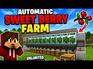 Easy Automatic Sweet Berry Farm Tutorial (Minecraft 1.21)