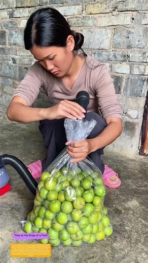 Vacuum Sealing: How a Household Tool Extends Fruit Storage Life