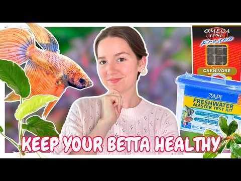 6 Tips To Keep Your Betta Fish Happy And Healthy (Beginner Care Guide)