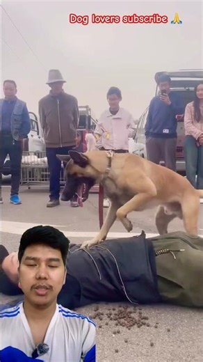 Hero Dog Performs CPR to Save Unconscious Man 🐶❤️