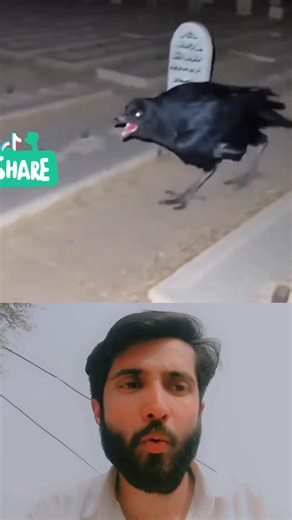 Reaction 2005 #reaction #reelstrending | Reaction Ah