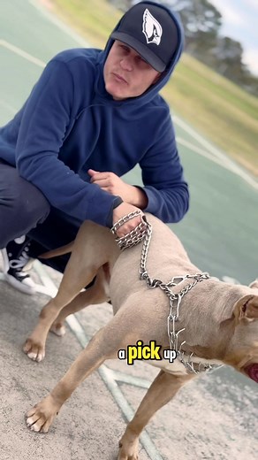 You’ll never meet anyone like me #rap #rapperlife #rappers #rapmusic | J. Reece