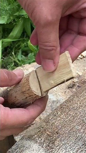 make tools from Wood 🪵🪓🔨 #camping #survival #bushcraft #outdoors#shorts#short#tiktok