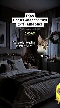 CAT MEMES 🐱Ghosts waiting for you to fall asleep like #catmemes #relatable #relationship