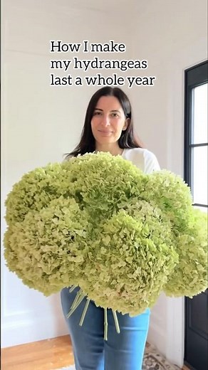 🌸 How to dry hydrangeas the easy way #hydrangeas #hydrangea #gardening