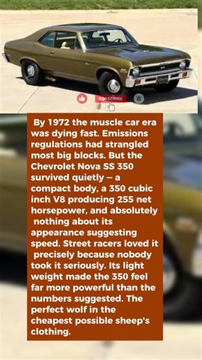 This Chevy Nova Looked Like a Grocery Getter and Ran Like a Street Racer