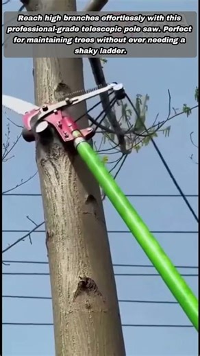Professional Long Reach Pole Saw for High Branch Pruning